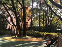 -徐家汇源景区-衡山公园