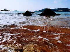 -枸杞岛