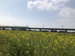-光明小镇欢乐田园