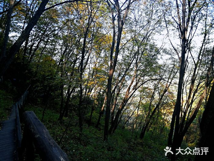 吊水壶国家森林公园图片