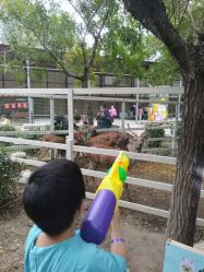 -优沃得自然教育农场·冰雪乐园·生日会·研学