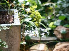 -The Flowers Coffee(南山店)