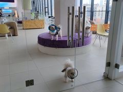 -怪兽屋·羊驼·猫咖·狗咖(俊华广场店)