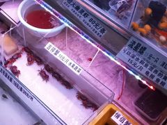 -山东柏宁水族批发广场