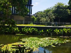 -星巴克(深圳前海企业公馆店)