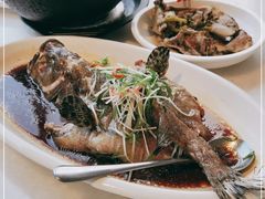 清蒸龙趸斑-衡山汇·高级粤菜(霄云路店)