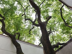 -衡山路(地铁站)