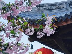 -龙华寺