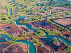 -泗洪洪泽湖湿地景区