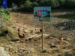 -武汉紫薇都市田园