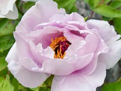 -上海交通大学(闵行校区)