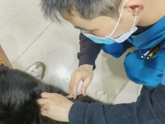 -申普宠物医院·眼科·心内科·影像科(普陀分院)