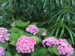 -人民公园(罗湖区)