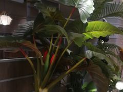 -湊湊火锅·茶憩(皇姑万象汇店)