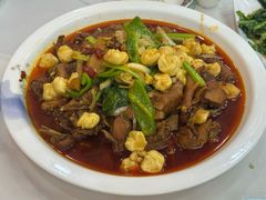 -马旭土鸡焖花卷新疆菜大盘鸡·真域顺西域美食(天马大道店)