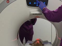 -爱侣宠医·鹦鹉专科·小型哺乳类·异宠专科(灵石路店)