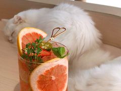 -瞄一喵猫咖(格力海岸店)