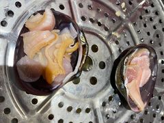 扇贝-董大蒸货(方塔园店)