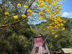 -五姊妹海鲜(火车站店)