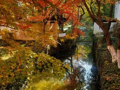 -狼山风景名胜区