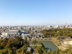 -名古屋城
