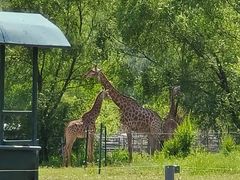 -哈尔滨北方森林动物园