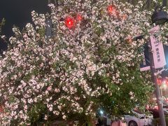-沈阳铁西万象汇