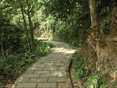 -清溪森林公园