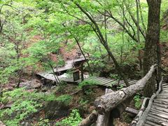 -华福羊汤馆(小市总店)