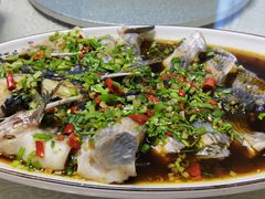 -蜀竹情酒楼(北营房店)