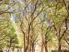 -上海交通大学医学院附属瑞金医院(总院)