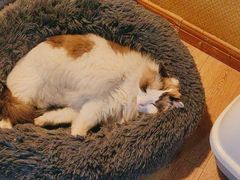 -白兔子密室(长寿路店)