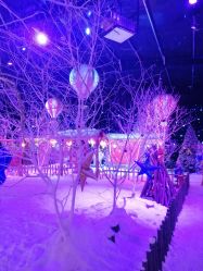 -圣名游乐城冰雪大世界