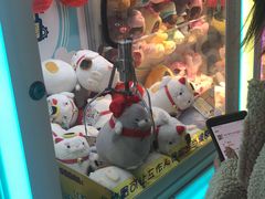 -PAWTOY爪e玩偶店(天兴罗斯福店)