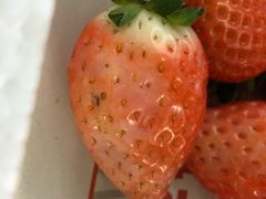 -江杨农产品批发市场