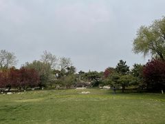 -丰台花园
