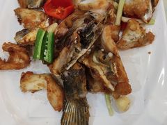 -有腥气私房菜·寻味顺德