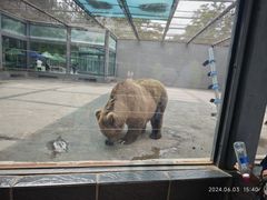 -银川动物园