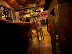 -城墙外BAR