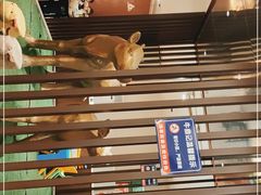 -朱氏牛鼎记鲜牛火锅(山水华庭店)