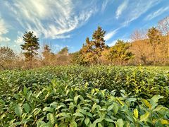 -南京金牛湖风景区
