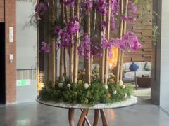 -浅深Cheersum(曹杨店)