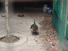 -不觉晓CAMPING(上海迪士尼营地店)