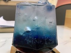 -喵园·猫主题咖啡厅·撸猫·猫咖(国贸店)