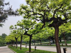 -北京市劳动人民文化宫(太庙)