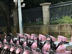 -广西大学(大学东路校区)