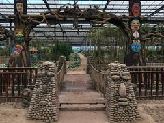 -呀路古热带植物园