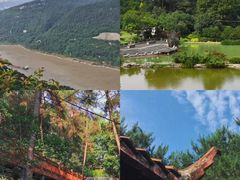 -铁山坪森林公园