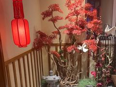 -鸽子窝(青塔店)