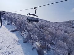 -多乐美地滑雪场
